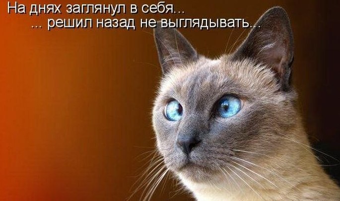 Сергей Трубников фотография #20
