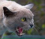 Фотография Лебедевой Юлии