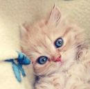 Фотография Гусева Руслана