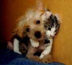 Фотография Кайдановской Наталии