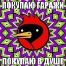 Катько Бирюкова фотография #29 (источник - https://vk.com/id26086263)