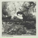 Игорь Федоренко фотография #31 (источник - https://vk.com/id15046339)