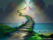 Фотография Тагирова Фаиля