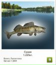 Сергій Коржан фотография #14 (источник - https://vk.com/id110134918)