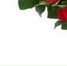 Яринка Любінська фотография #12 (источник - https://vk.com/id40322920)