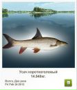 Ingutia Kieraite фотография #41 (источник - https://vk.com/id37570152)