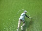 Samir Azzi фотография #18 (источник - https://vk.com/id47794502)