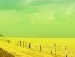 Вікочка Уліганець фотография #17 (источник - https://vk.com/id134669370)