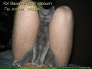 Оля Білик-Дворянська фотография #41 (источник - https://vk.com/id94354537)