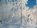 Ніна Лучечко фотография #45 (источник - https://vk.com/id155099796)