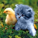 Діана Панасюк фотография #38 (источник - https://vk.com/id159350617)