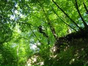 Діма Коваль фотография #49 (источник - https://vk.com/id18156668)