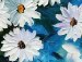 Ангеліна Бірюченко фотография #37 (источник - https://vk.com/id161132624)