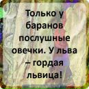 Людмила Іванчук фотография #4 (источник - https://vk.com/id157907029)