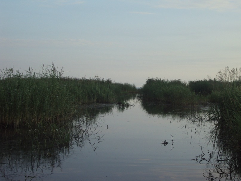 Надежда Плотникова фотография #35