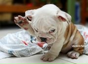 Фотография Schukin Roman