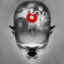 Фотография Овсянникова Дарья