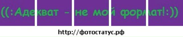 Діма Нiкiтiн фотография #20 (источник - https://vk.com/id80070430)