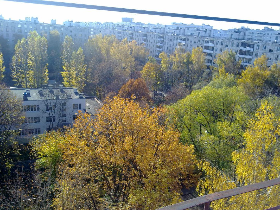 Дима Мокроусов фотография #30