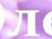 Олічка Точенюк фотография #16 (источник - https://vk.com/id132508778)