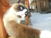 Андрій Белей фотография #50 (источник - https://vk.com/id33009617)