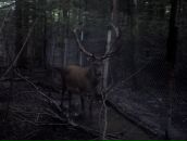 Андрюха Фіцик фотография #17 (источник - https://vk.com/id19240154)