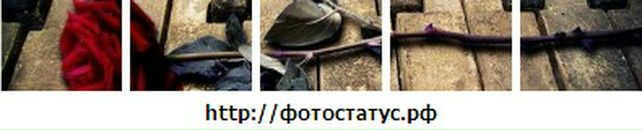 Марта Білиця фотография #16 (источник - https://vk.com/id78480027)