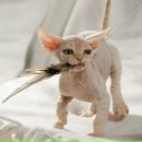 Фотография ерофеева(вечерина) оксаны