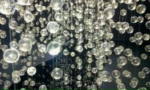 Фотография Годуновой Марины