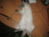 Фотография Волковой Наташи