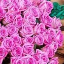 Іринка Ходинчак фотография #21 (источник - https://vk.com/id32260967)