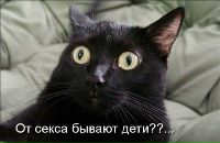 Фотография Пантелеева Александра