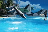 Александр Уваров фотография #29 (источник - https://vk.com/id1874903)