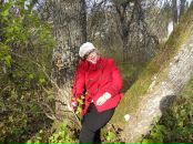 Фотография Сироткиной Елены