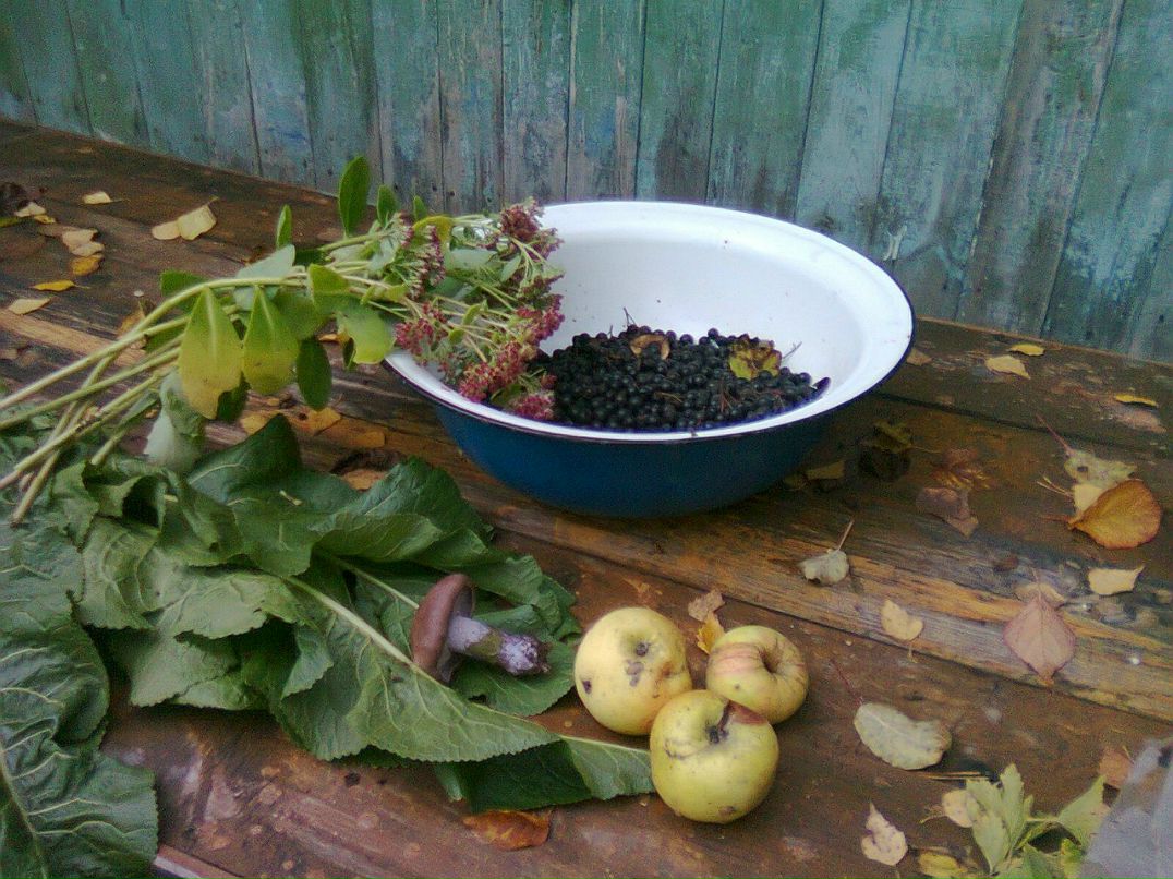 Вера Дрозд фотография #2