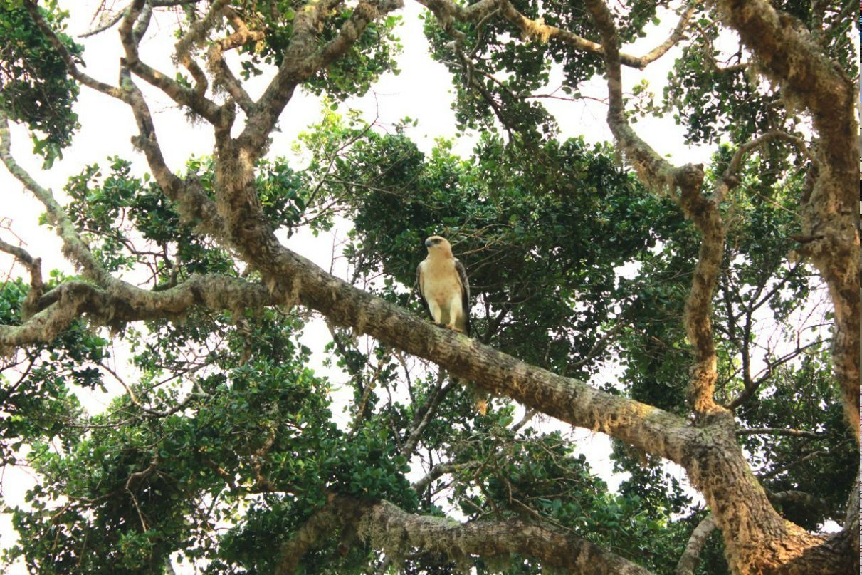 Кса На фотография #14