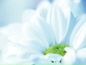 Фотография Тимофеевой Анюты