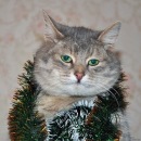 Данил Алексеев фотография #1