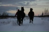 Фотография Алексеевой Александры