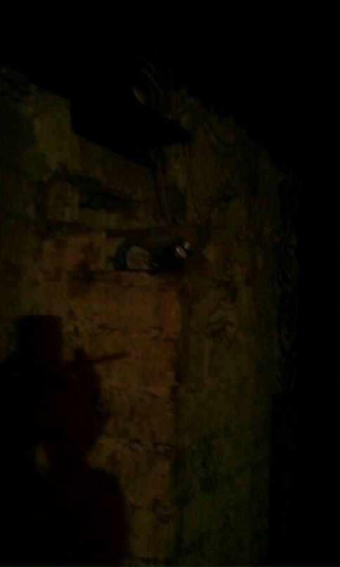 Элис Shyshkin фотография #30