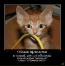 Роман Багрій фотография #17 (источник - https://vk.com/id116366204)
