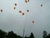 Іра Харо фотография #8 (источник - https://vk.com/id51812222)