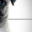 Вєталь Серйозний фотография #22 (источник - https://vk.com/id136859700)