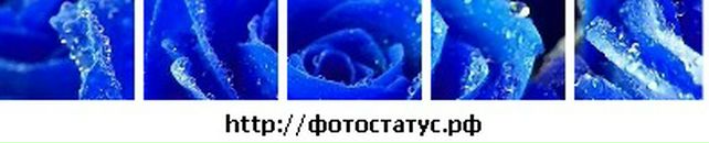 Оля Чепіль фотография #12 (источник - https://vk.com/id133548278)