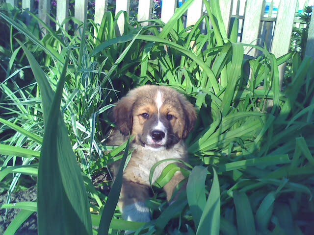 Игорь Холод фотография #15