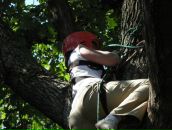 Фотография Комисаровой Елены