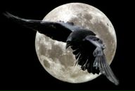 Фотография Пантющева Сергея