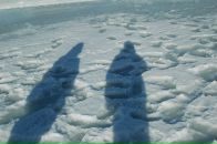 Фотография Микадова Микадо