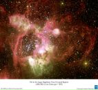 Фотография Игнатьевой Екатерины