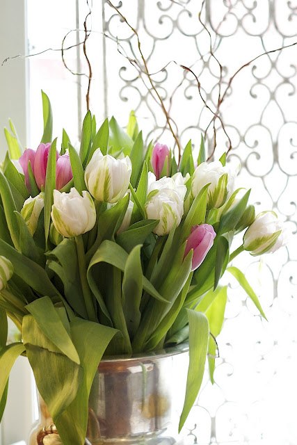 Коля Данько фотография #30